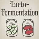 Lacto-Fermentation